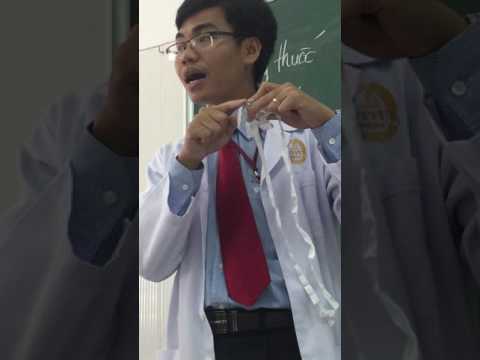 Video Mở khí quản - youtube