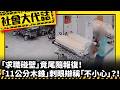 《社會大代誌》「求職碰壁」竟尾隨報復！ 「11公分木錐」刺眼辯稱「不小心」？！