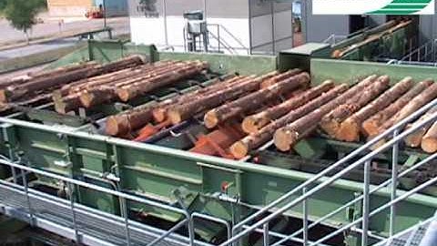 Log sorting line Sorteringslinje rundvirke Tukinlajittelija log intake sawmill sågintag