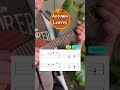 Autumn Leaves – Easy Ukulele Melody (Jazz Standard)