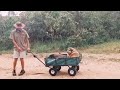 These good humans carry elderly dog in wagon for 2 hours every day