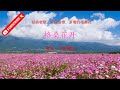经典老歌 多情的格桑花 格桑花开 次真降措 经典老歌 多情的格桑花 格桑花开 次真降措