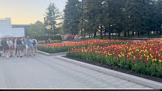 Montreal Olympic Stadium Tour 2024