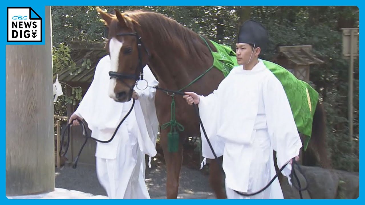 皇室から贈られた馬が神に仕える馬になるための儀式　伊勢神宮で｢御馬牽進式｣が行われる　三重
