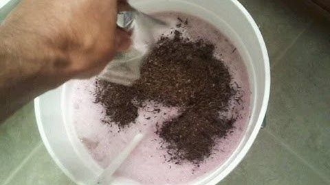 Making Red Wine from a Kit Part 1