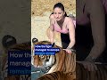 Tiger shot dead in Germany after escaping enclosure | DW News