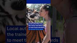Tiger shot dead in Germany after escaping enclosure | DW News