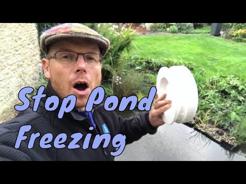 How to prevent your pond from icing over completely