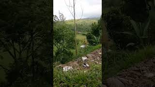 Suasana Pesona Indah Perkebunan