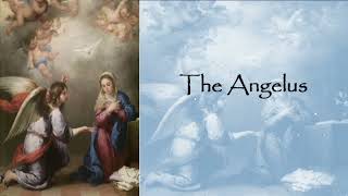 The Angelus, 12NN, 11 Aug 2026
