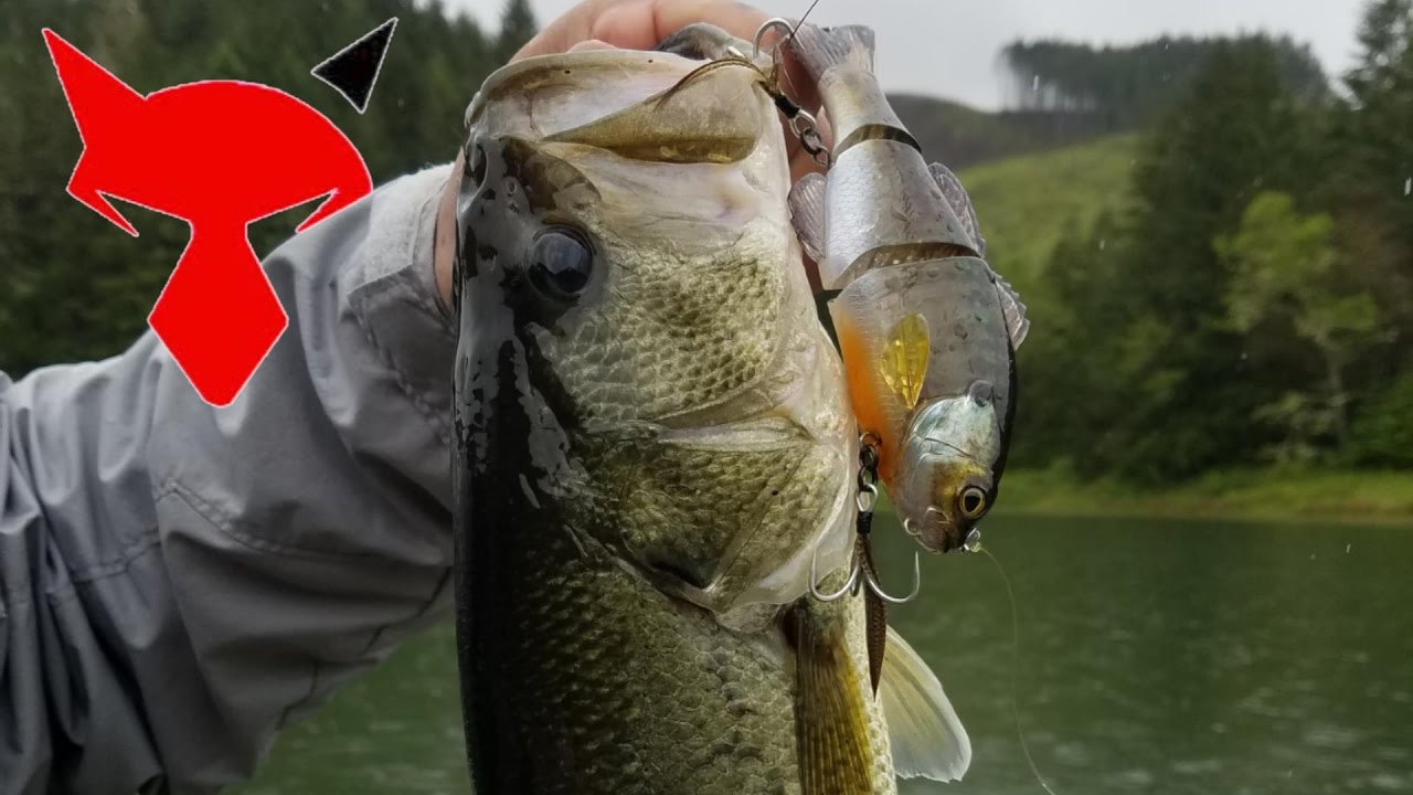 Sucking In The Rain, Bass Fishing YouTube