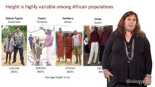 Sarah Tishkoff (U. Pennsylvania) Part 3: African Genomics: Natural Selection