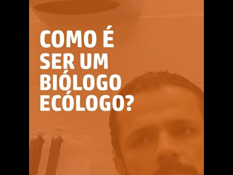 Quais são os benefícios de uma apresentação de empresa?