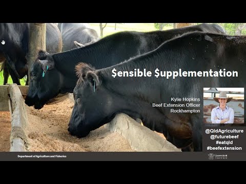Sensible Supplementation 1 – Beef cattle nutrition principles