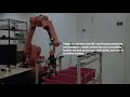 Robo-picker grasps and packs