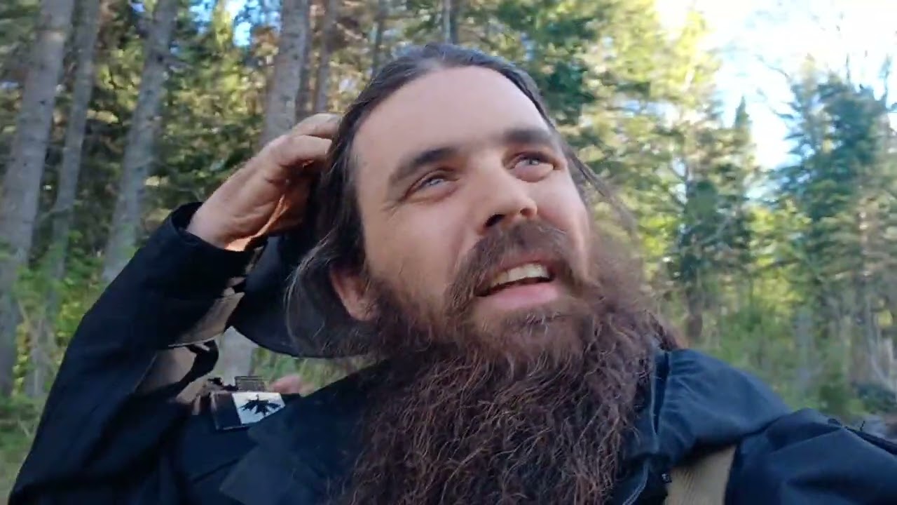 Les forêts de la ZEC Bas St-Laurent