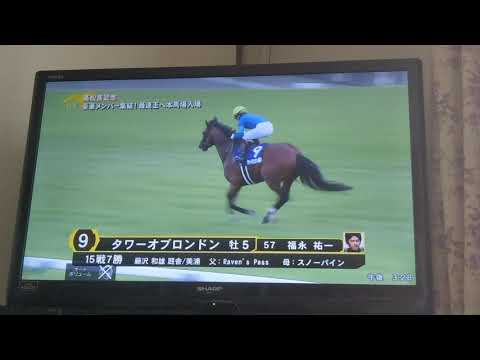 本馬場入場 3/29 中京11R 高松宮記念(GⅠ)