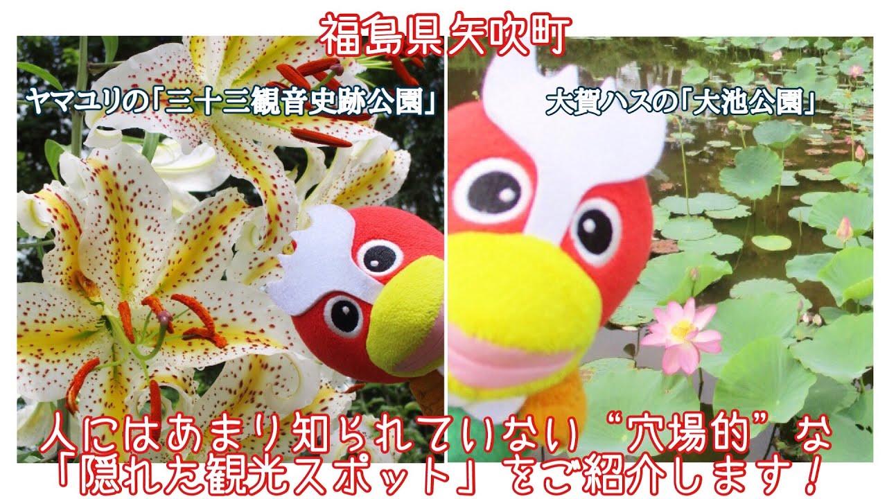 福島県矢吹町の人にはあまり知られていない 穴場的 な 隠れた観光スポット をご紹介します ヤマユリの 三十三観音史跡公園 と大賀ハスの 大池公園 編 やぶき観光案内所 Youtube