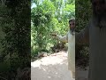 Combination of Peach 🍑 and Khjoor #shortvideo #shorts #villagelife #village #struggle