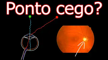Qual é a explicação para o ponto cego?