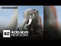 &quot;Lucy the Elephant&quot; tops list of must-see U.S. roadside attractions