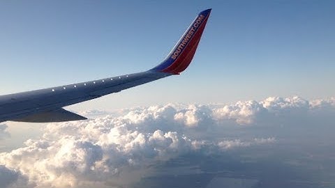 Arrival & Traditions! (DCP Vlog #1)