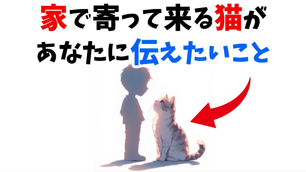 【来る理由がある】猫があなたの所に来た意味15選
