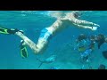 Tia Heights Makadi Bay 5* кормим рыб, под водой