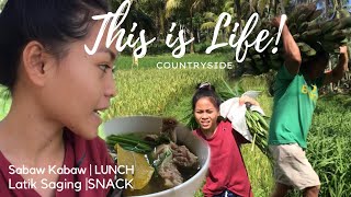 A day in my countryside life (Bohol,Philippines) MSCYNTHIA