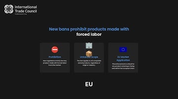 Trade Due Diligence Explained | Understanding CSDDD, Forced Labor Bans & Supply Chain Compliance