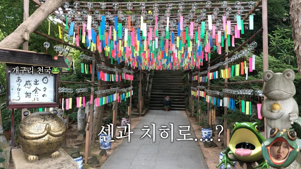 이런 절 가봤어..? 🐸 후쿠오카 현지인만 간다는 사방이 개구리인 뇨이린지 풍경축제 갔다오기🎐