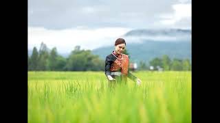 31/8/2568 บรรเลงพิณ ลำภูไท Instrumental Lam Phu Thai, E-SAN Thailand Music
