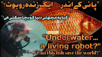 🚨 Robotic Fish That Eats Plastic & Generates Energy | Real Invention That Cleans the Ocean 🌊