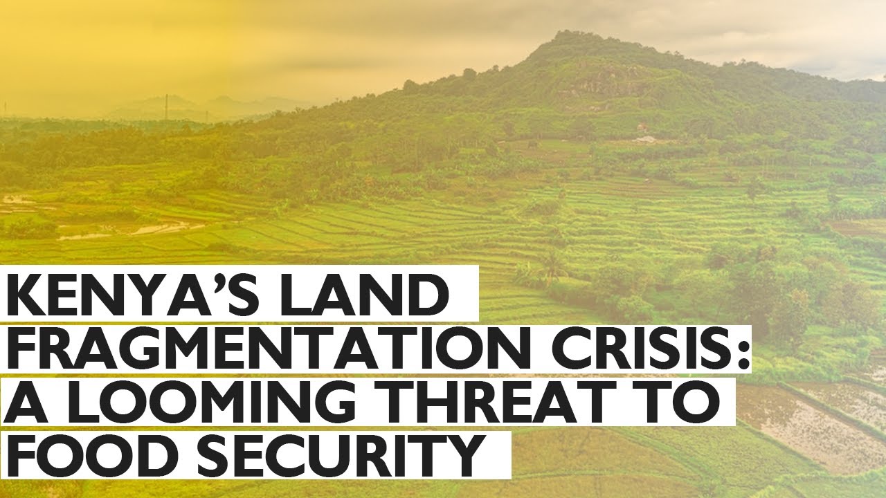 Kenya's Land Fragmentation Crisis: A Looming Threat to Food Security