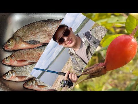Видео: Рыбалка на Шиповник , равноценный обмен