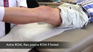 knee exam range of motion