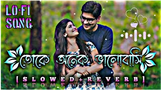 toke onek valobasi || তোকে অনেক ভালোবাসি || [ slowed reverb ] || Bangla song 🎧 #trending_song #viral