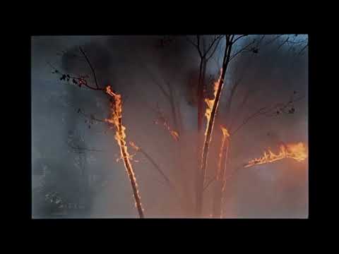 Similar Prisoners 'Knife-Long Life' Official Video