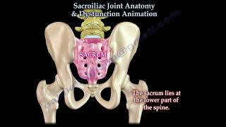 Sacroiliac Joint Dysfunction Anatomy,  Animation