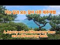 가는 길과 오는 길이 다른 여행.A journey with a different way going and a different way coming back.#퀸제누비아호#제주도여행