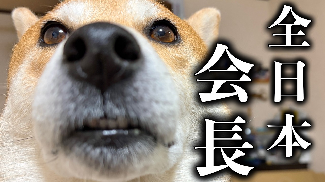 犬にしか分からない謎の協会で重要なポストを任されています【三浦半島ウォーク】里山から風呂