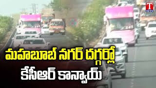 KCR To Reach Mahabubnagar Shortly | KCR Bus Yatra | Road Show | T News