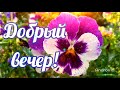 Добрый вечер! Лунная Богиня светит мне в ночи Пожелание доброго вечера! Открытка добрый вечер