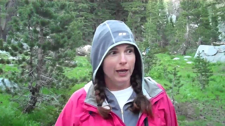 Marie Krueger-Miller talks about The Woods Project