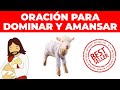 🐑Oración del corderito manso para dominar a tu amor💖💖