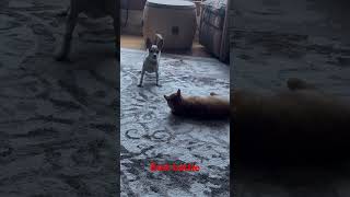 Mars And Lou Have A Battle