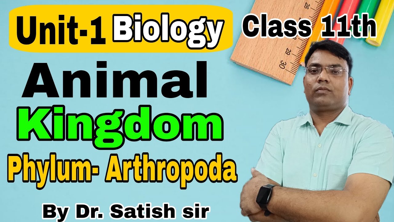 NEET 2024 | Animal kingdom | Phylum Arthropoda | NCERT biology revision ...