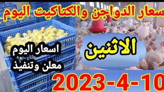 اسعار الفراخ اليوم | سعر الفراخ البيضاء اليوم الاثنين10-4-2023في مصر واسعار الكتاكيت