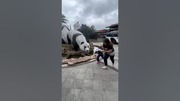 dikejar panda raksasa