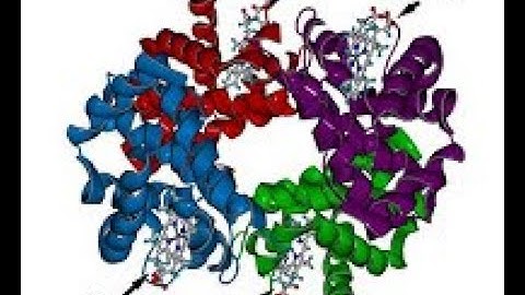 B.Sc. BOTANY PRACTICAL FILE OF PTERIDOPHYTA  PART - 1 SEMESTER-2